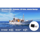 thumbnail image 2 of 2 interruptores basculantes iluminados para bomba de achique de 12 V para paneles de embarcaciones marinas, con función de apagado automático y manual, 2 of 9