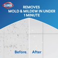 thumbnail image 2 of Mold and Mildew Remover Spray, 32 oz. - 01195, 2 of 5