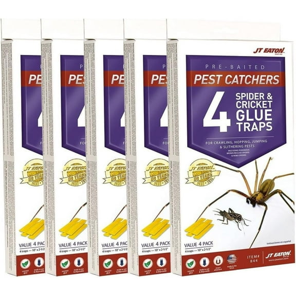 J T Eaton Spider and Cricket Glue Trap (Pack of 5)