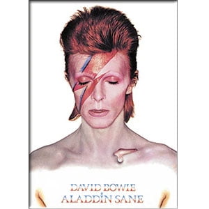 

David Bowie Magnet