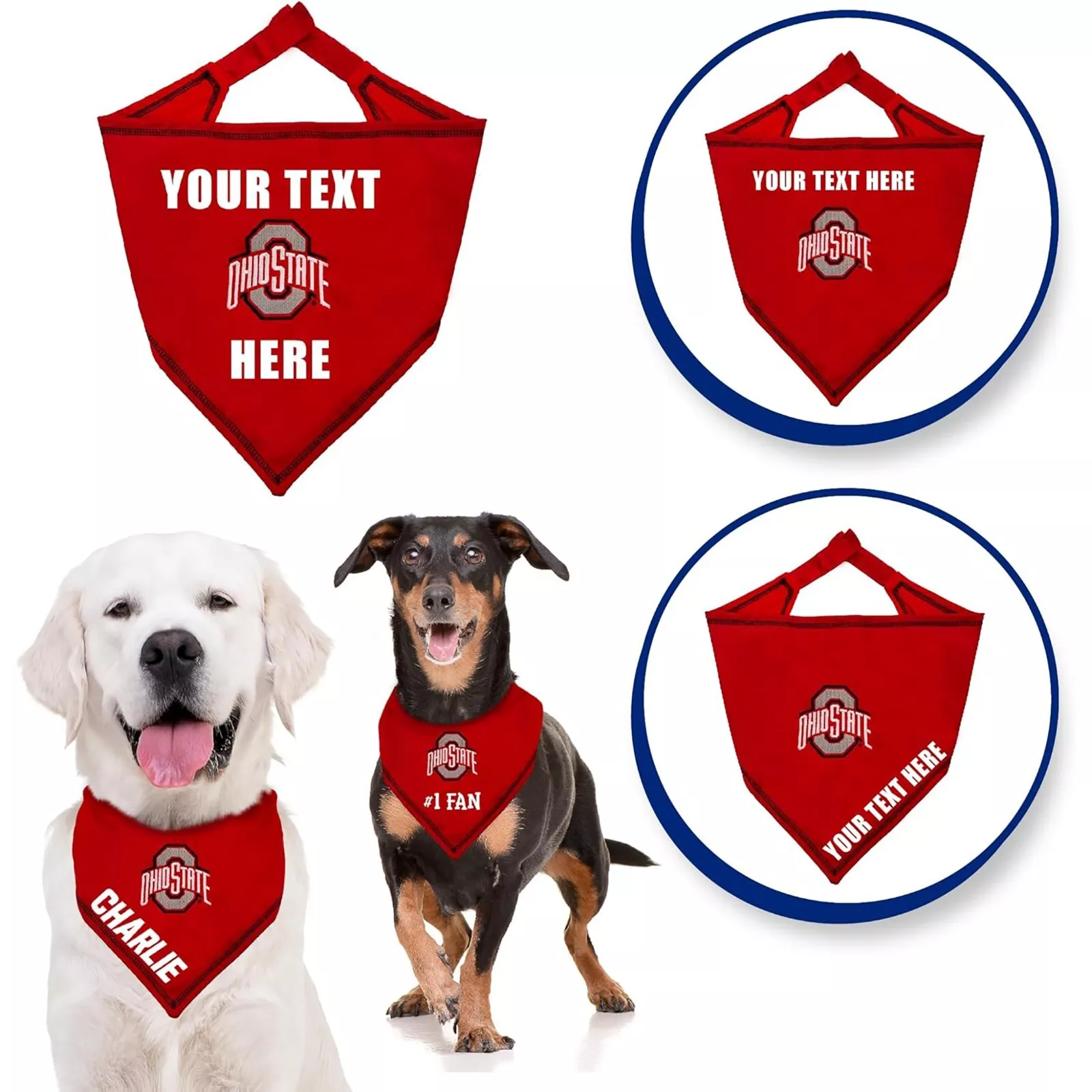 Pets First NCAA Personalized Tie Bandana for Dogs & Cats Sporty Dog Bandana