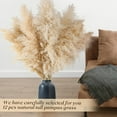 thumbnail image 5 of 24 pcs Tall Pampas Grass Decoration -  40 Inch Large Pampas Grass Dried Flower Decoration,for Bohemian Style Living Room Decoration, Wedding Decoration, Party, Farmhouse Decoration, 5 of 13