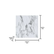 FloorPops Opaline 12 in. x 12 in. Peel and Stick Virgin Vinyl Floor Tiles (10-Pack)