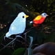 thumbnail image 5 of Led Acrílico Pájaro Luces Cadena Solar Lámpara De Hadas Patio Jardín Decoración Luces Vacaciones Decoración sonducket HA044783-03, 5 of 6