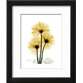 thumbnail image 2 of Golden Gerbera, Botanical Seasons Framed Art Print Wall Art by Albert Koetsier, 2 of 6