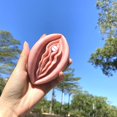 thumbnail image 5 of Female Organ Silicone Mold Cake Mold Chocolate Mould Home Decor Craft Making, 5 of 5