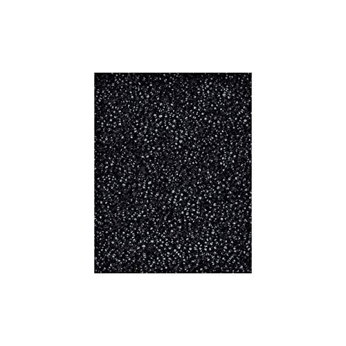 Oreck AirInstinct 3 Year Odour Filter