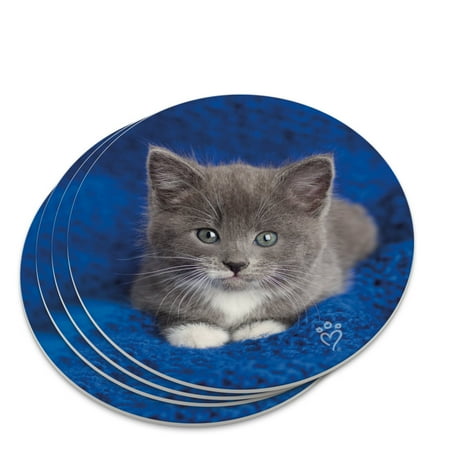 

Manx Kitten Cat Blue Knitted Blanket Novelty Coaster Set