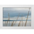 thumbnail image 3 of Erin Berzel 32x23 White Modern Wood Framed Wall Art Titled - Whidbey Grass I, 3 of 5
