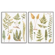 Stupell Industries Watercolor Fern Leaves Plants & Flowers Painting Gray Framed Art Print Wall Art, 24 x 30, Set of 2
