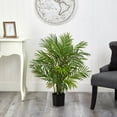 thumbnail image 4 of 3' Areca Palm Tree (Green) (3'H x 27""W x 27""D), 4 of 5