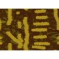 thumbnail image 1 of Ahgly Company Machine Washable Indoor Rectangle Transitional Night Red Area Rugs, 2' x 3', 1 of 7