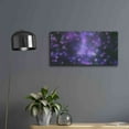 thumbnail image 4 of Luxe Metal Art 'Cyber Grapes II' by Unknown Artist, Metal Wall Art, 24"x12", 4 of 10
