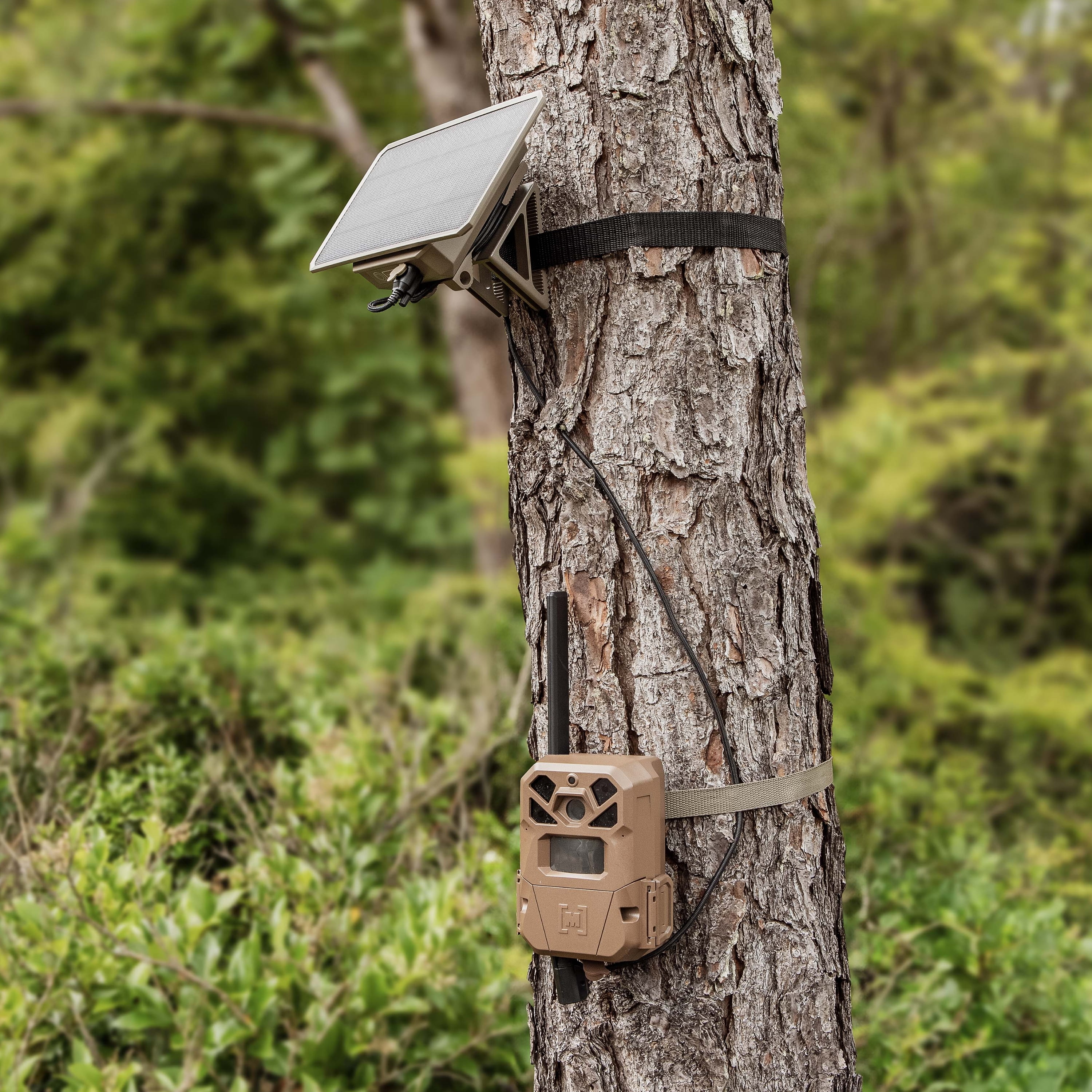 Moultrie 3.4 Watt Solar Power Pack for Trail Cameras - 3350mAh Battery Pack - USB-C Connection