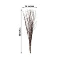 thumbnail image 3 of Efavormart 6 Pack Natural Decorative Birch Tree Branches, Extra Long Natural Dried Willow Twigs Sticks Vase Fillers - 46", 3 of 5