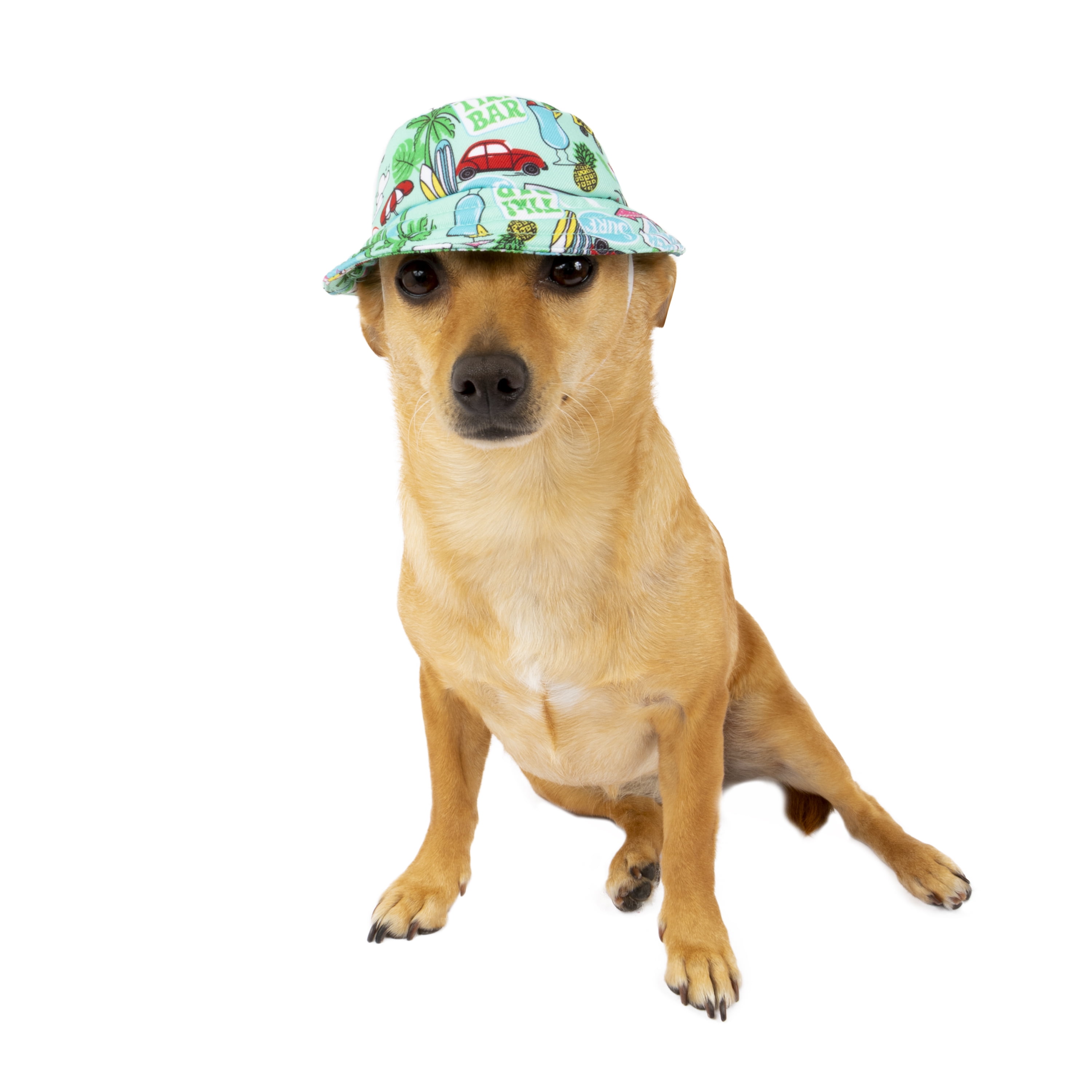 Vibrant Life Vacation Dog Bucket Hat, Blue, Medium/Large