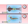 thumbnail image 4 of Cooking Mama: Cook Off, 4 of 4