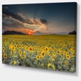 thumbnail image 2 of Sunflower Sunset with Cloudy Sky - Large Landscape Canvas Art, 2 of 3