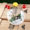 thumbnail image 2 of Clear Plastic Ball Baubles Sphere Fillable Christmas Tree Ornament, 2 of 9