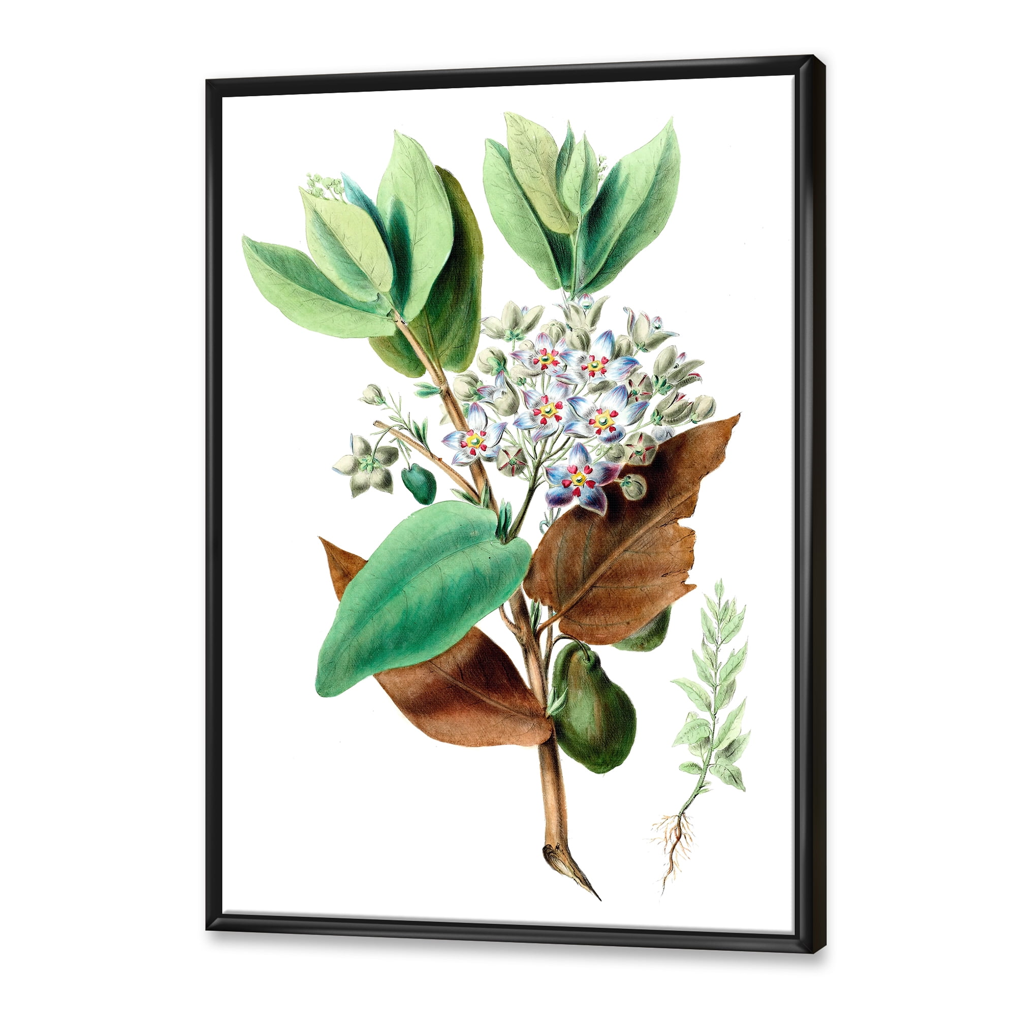 Designart 'Ancient Plant Life XXVIII' Traditional Framed Canvas Wall Art Print