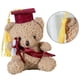 thumbnail image 4 of Plush Toy Stuffed Bear Graduate Student Souvenir Graduation Gift Bachelors Hat Graduation Hat Gift for Schools, 4 of 5