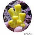 thumbnail image 7 of UDIYO Aquarium Artificial Resin Coral Fish Tank Non-toxic Landscape Underwater Decor, 7 of 7