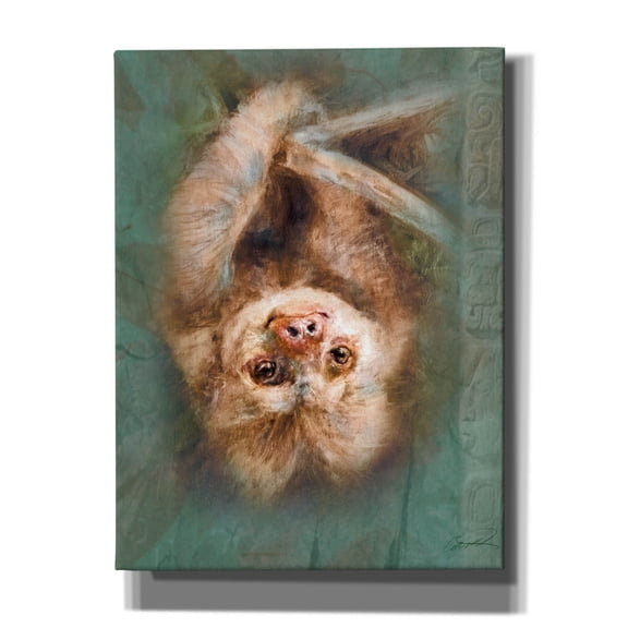 Epic Graffiti 'Two-Toed Sloth' by Robert Campbell, Canvas Wall Art, 12"x16"
