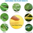 thumbnail image 3 of Paquete de 30 trampas adhesivas amarillas para insectos de plantas voladoras como hongos, moscas blancas, áfidos, minadores de hojas (bridas giratorias incluidas) Adepaton WMZL-514-2, 3 of 7