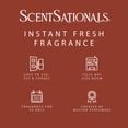 thumbnail image 5 of ScentSationals Aroma Accent Fragrance Oil, Warm Cinnamon Apple, 5 of 7