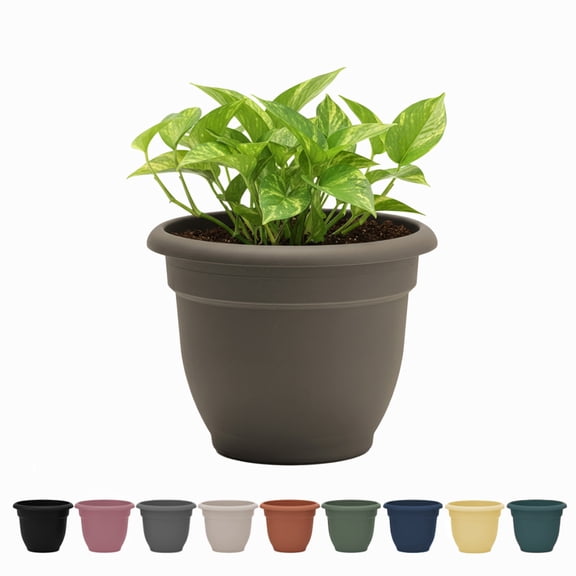 Bloem Ariana 8" Peppercorn Round Self-Watering Resin Planter Pot - Rolled Rim Indoor and Outdoor Gardening Planter