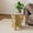 Seaweed-Natural, variant on Permory Glass Side Table, Amber Tempered Glass Top Brown MDF Frame, Screwless Tool‑Free Assembly, Modular Accent End Table for Living Room, 11.8"D x 11.8"W x 15.7"H