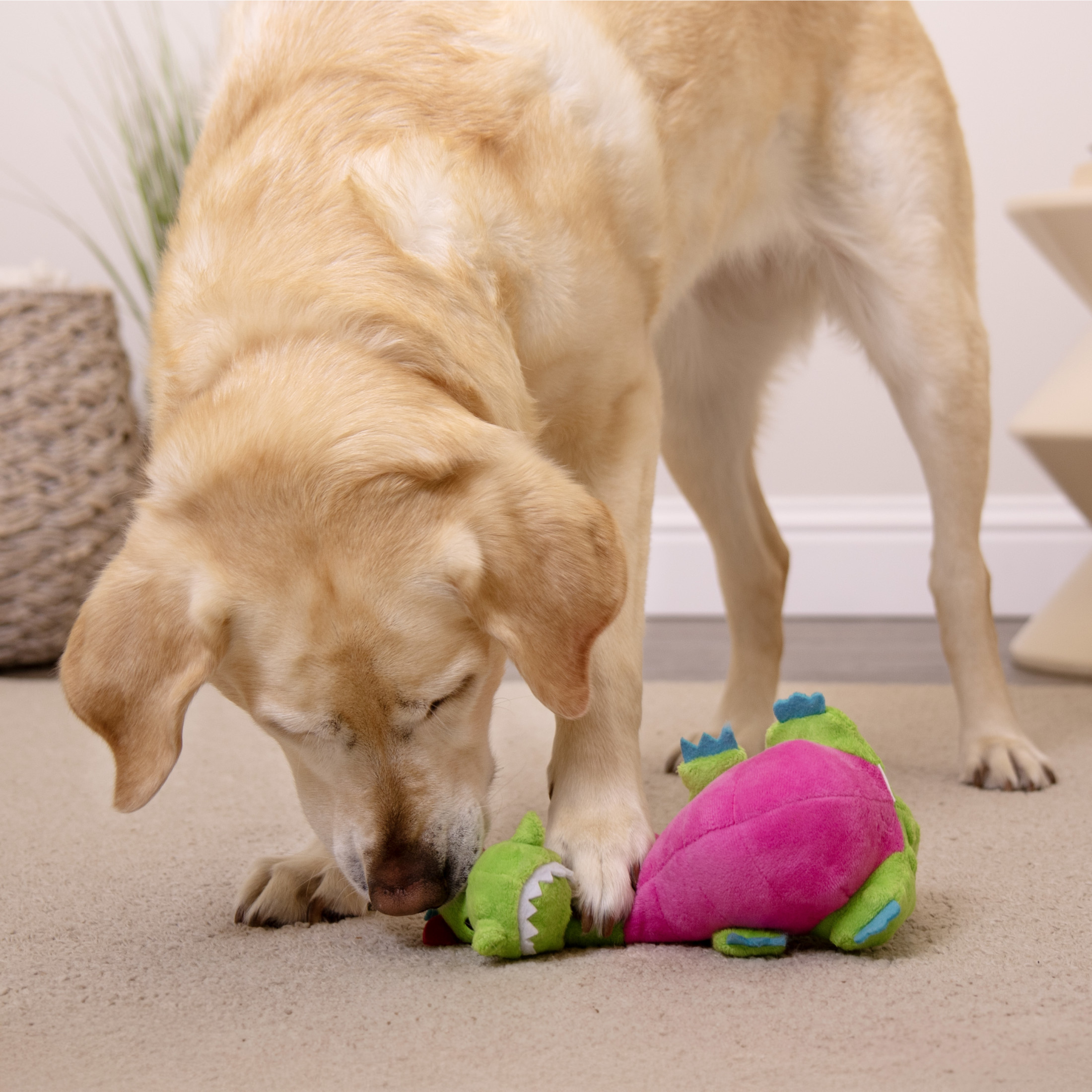 goDog Dragons Pudge Potbelly Plush Dog Toy with Chew Guard Technology, Durable Fabric & Squeaker for Active Play, Green, Medium