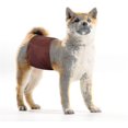 thumbnail image 4 of Washable Male Dog Diapers(3 Pack) Reusable Belly Band For Male Dogs, 4 of 5