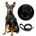 thumbnail image 3 of Dog Harness for Small Dogs No Pull, Puppy Harness and Leash Set, Step in Dog Harness for Walking, Running, Training, Small Dog Vest, 3 of 8