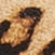 Leopard/Gold