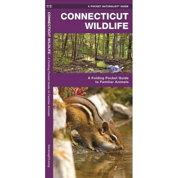 Wildlife and Nature Identification: Connecticut Wildlife : A Folding Pocket Guide to Familiar Animals (Other)