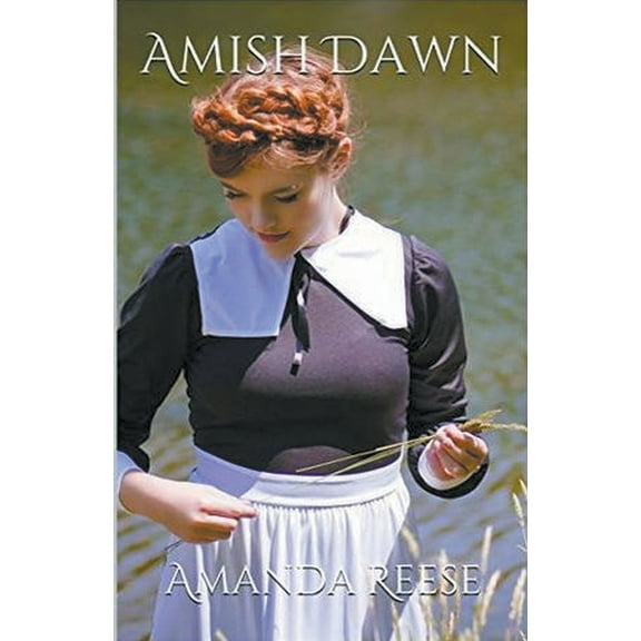 Amish Dawn, (Paperback)