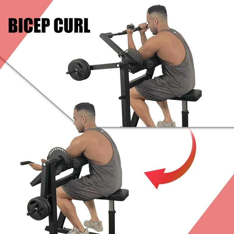 GMWD Bicep Tricep Curl Machine, 380LBS Plate Loaded Bicep Curls and Tricep  Extension Machine, 2 in 1 Exercise Equipment for Home Gym Workout Station
