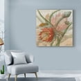 thumbnail image 3 of Trademark Fine Art 'Desert Botanicals II' Canvas Art by John Butler, 3 of 4