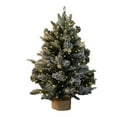 thumbnail image 3 of 18 Inch Artificial Mini Christmas Tree with Warm White Lights Battery Operated, Thick Snow Flocked Tabletop Christmas Tree with Snowy Branches Base for Home Indoor Xmas Decor, 3 of 6