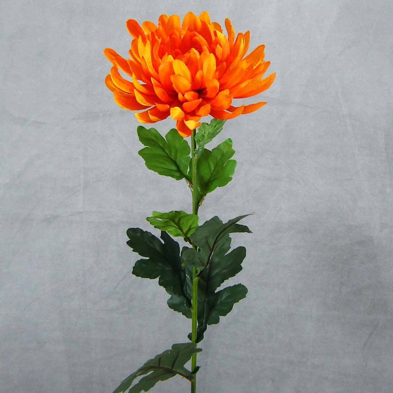 4 Pcs, 28 Inch Long Artificial Mum Stem Boasts 6" Wide Bloom On Top