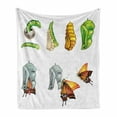 thumbnail image 1 of Butterfly Soft Flannel Fleece Throw Blanket, Butterfly Stages with the Cocoon Life Cycle Nature Print Illustration, Cozy Plush for Indoor and Outdoor Use, 50" x 60", Multicolor, by Ambesonne, 1 of 6