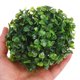 thumbnail image 5 of BESTYASH 6Ud Con Bolas De Artificial Verde Para Jardín Hogar Y Accesorios De Plantas, 5 of 7