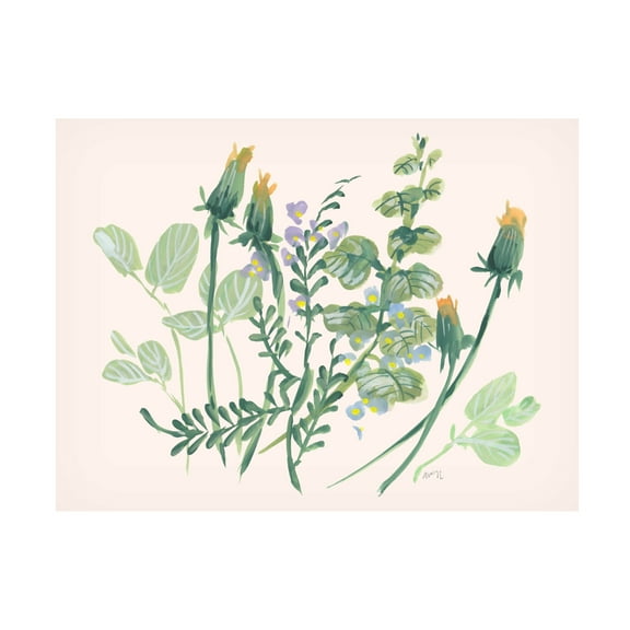 Trademark Fine Art Ania Zwara  Closed Dandelions Canvas Wall Art