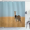 thumbnail image 1 of Wildlife Shower Curtain, Cape Mountain Zebra National Park South Africa Endangered Species Dried Grass, Fabric Bathroom Set with Hooks, 69W X 84L Inches Extra Long, Multicolor, by Ambesonne, 1 of 3