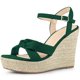 thumbnail image 1 of Sandalias de tacón de cuña Allegra K Alpargata Tira trasera Plataforma Verde 40, 1 of 7