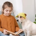 thumbnail image 4 of Dog Baseball Cap, Dog Cat Summer Beach Visor Hat with Ear Holes, Adjustable Puppy Sunbonnet Headdress, 4 of 5