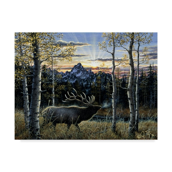 Trademark Fine Art 'Dawn Of Light' Canvas Art by Jeff Tift