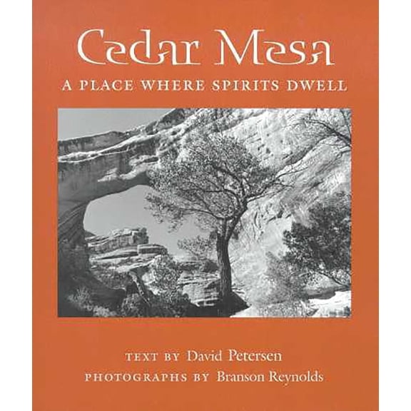 Pre-Owned Desert Places: Cedar Mesa : A Place Where Spirits Dwell (Paperback)