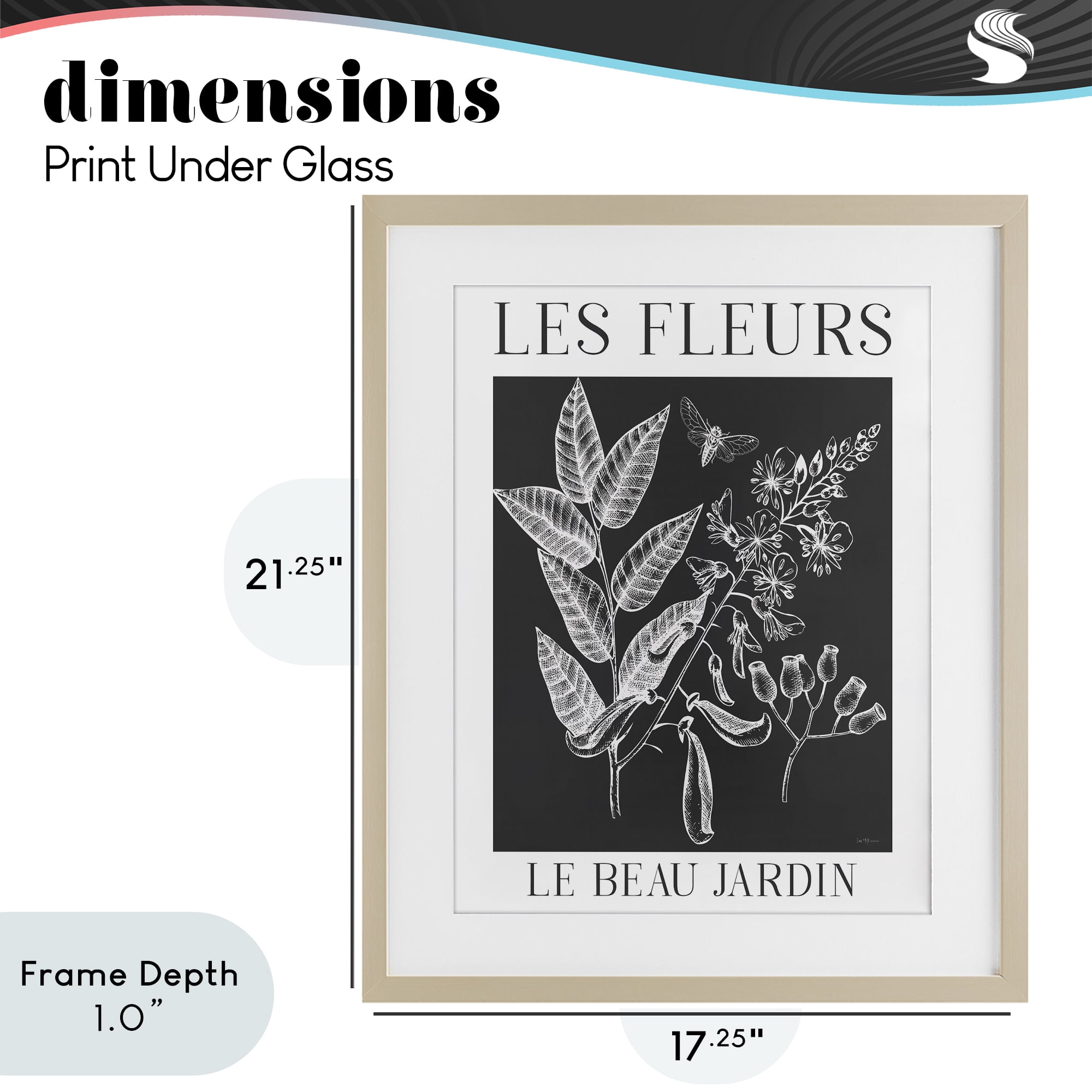 Stupell Industries Les Fleurs Black & White Contour Birch Framed Print Under Glass, design by Lux + Me Designs